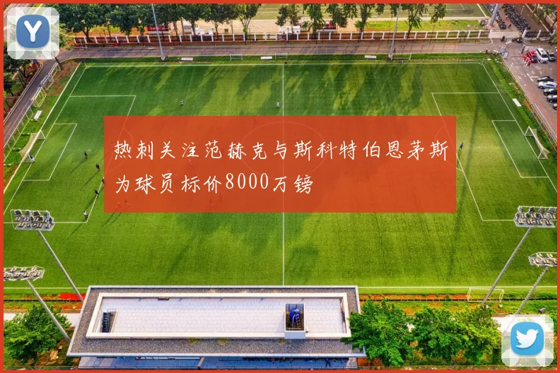 热刺关注范赫克与斯科特伯恩茅斯为球员标价8000万镑